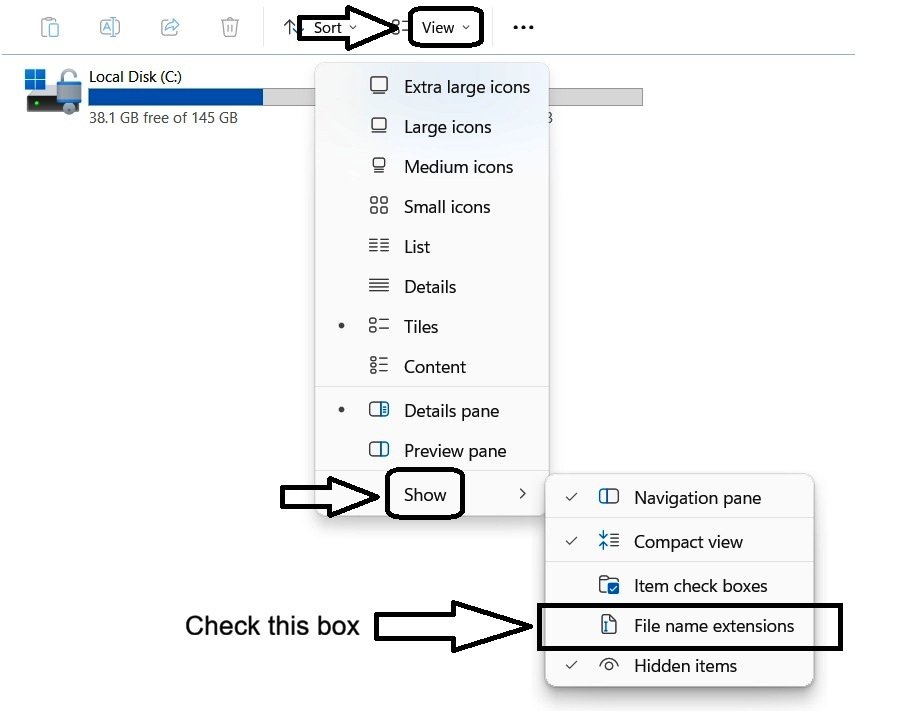 Accessing file extension settings in Windows 11 through File Explorer