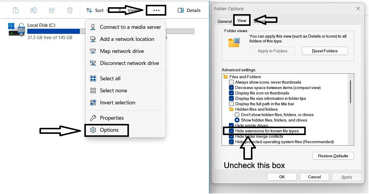 Accessing file extension settings in Windows 11 through Folder Options
