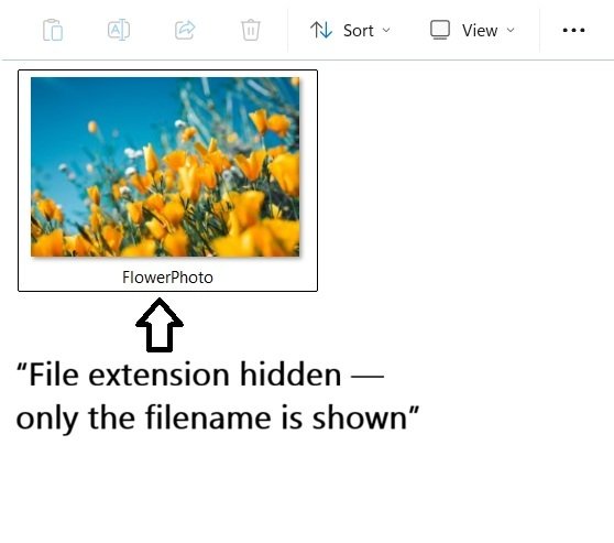 FlowerPhoto.jpg appears as FlowerPhoto when the file extension is hidden