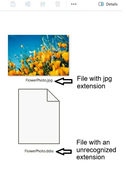 File with an unrecognized file extension in Windows