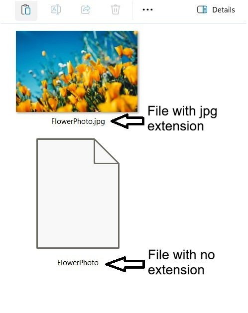 File displayed without a file extension