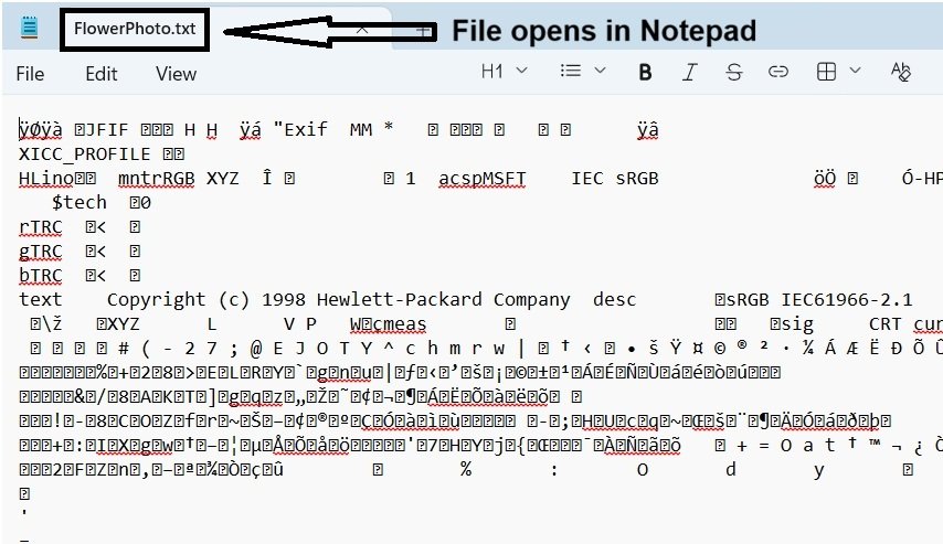JPG file opened in Notepad after changing its extension to .txt