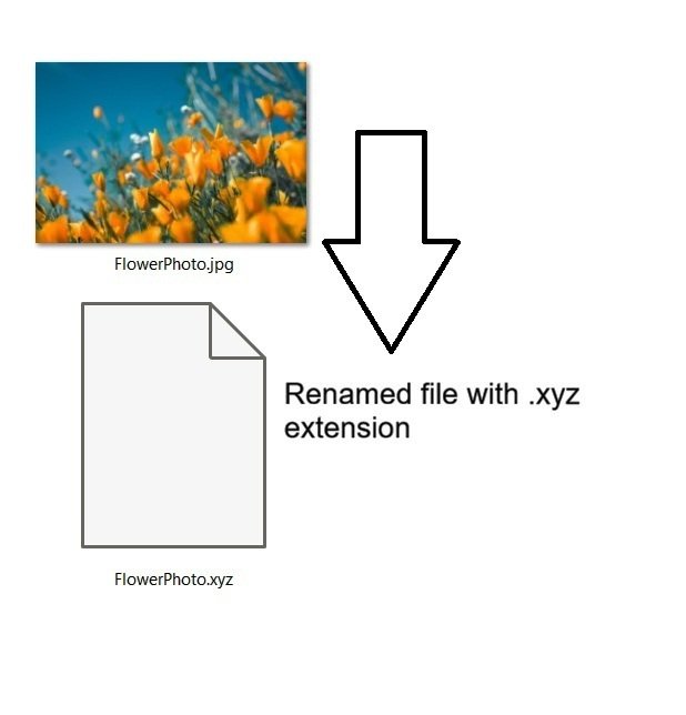 JPG file renamed with an .xyz extension