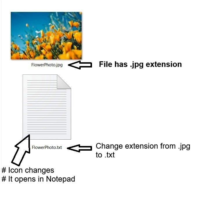 Renaming the FlowerPhoto.jpg extension to .txt