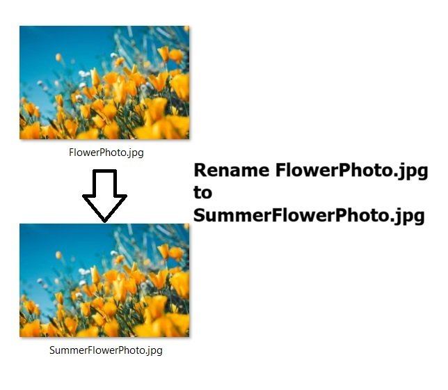 Renaming FlowerPhoto.jpg to SummerFlowerPhoto.jpg