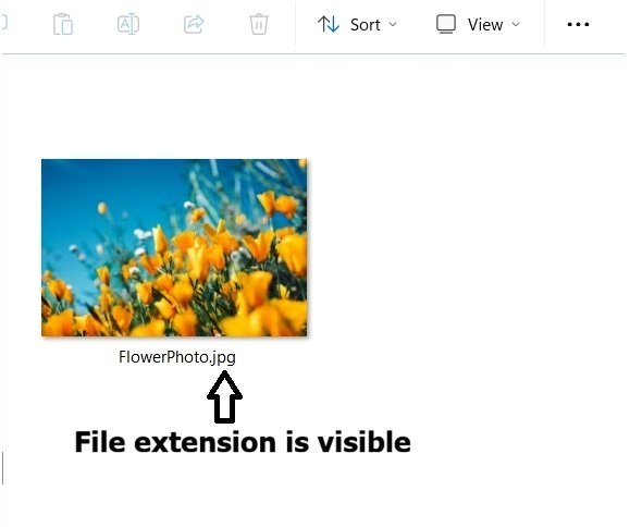 FlowerPhoto.jpg with the file extension visible