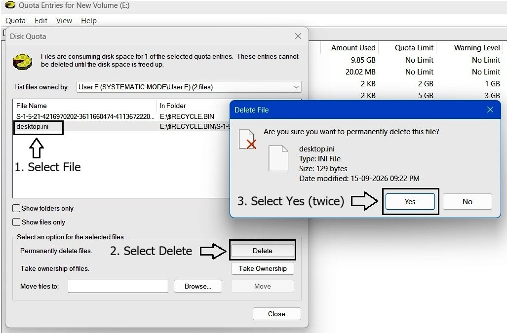 File list showing desktop.ini selected with the Delete option available