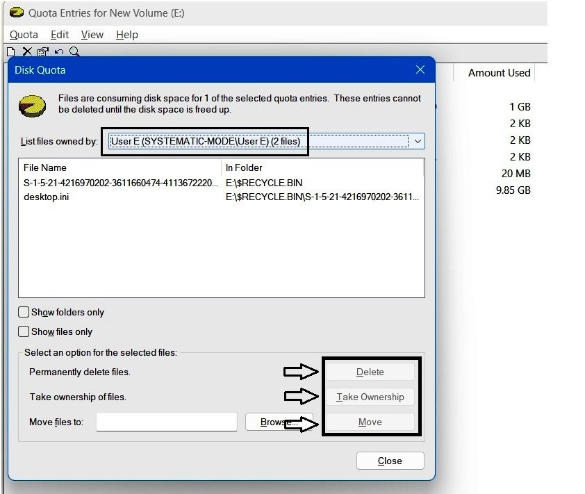 Windows dialog showing files associated with User E's quota usage, including desktop.ini and $RECYCLE.BIN, with Delete, Take Ownership, and Move options