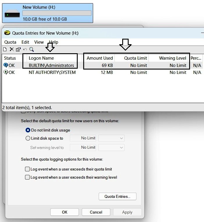 Quota Entries showing the initial system and Administrators-related entries on the newly enabled NTFS volume