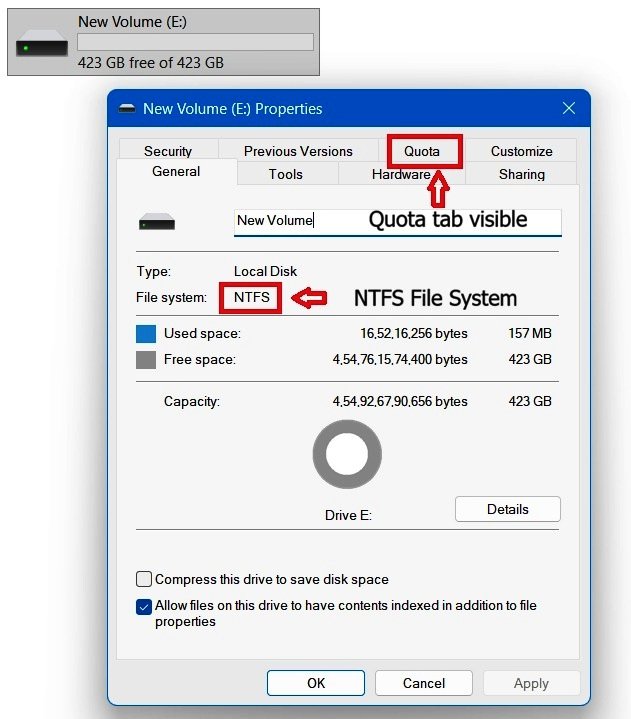 Windows 11 drive Properties General tab showing NTFS file system, with the Quota tab visible