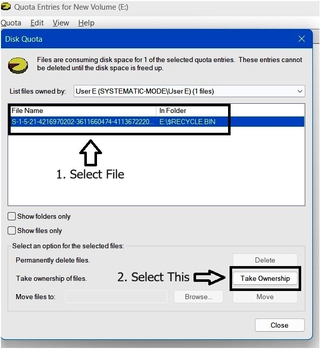 $RECYCLE.BIN selected in the quota deletion window with Take Ownership highlighted as the available action