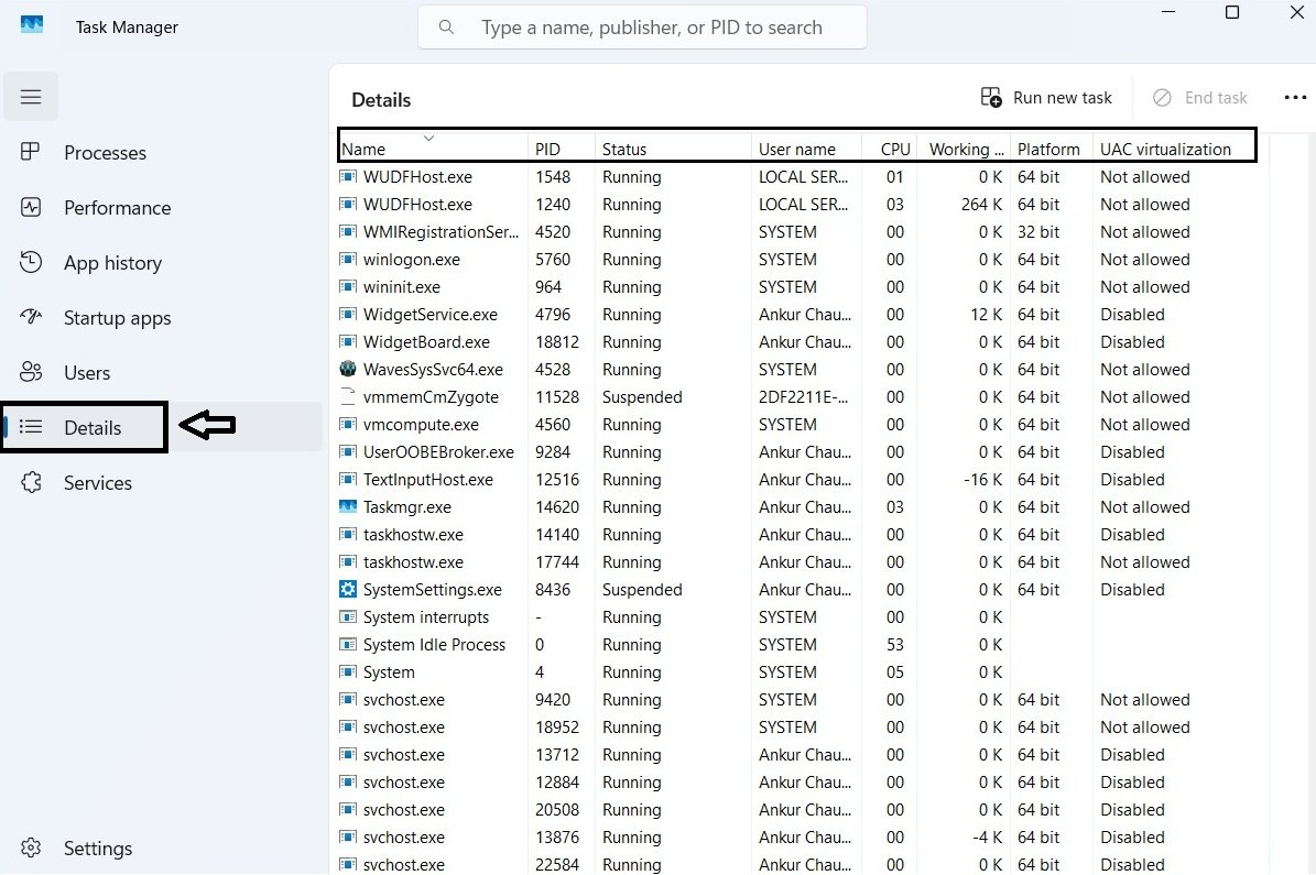 Task Manager Details page displaying technical information about running processes.